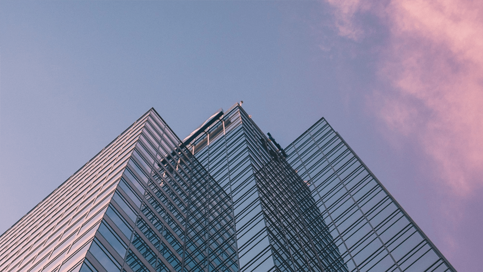 PNPR-Consulting home page background